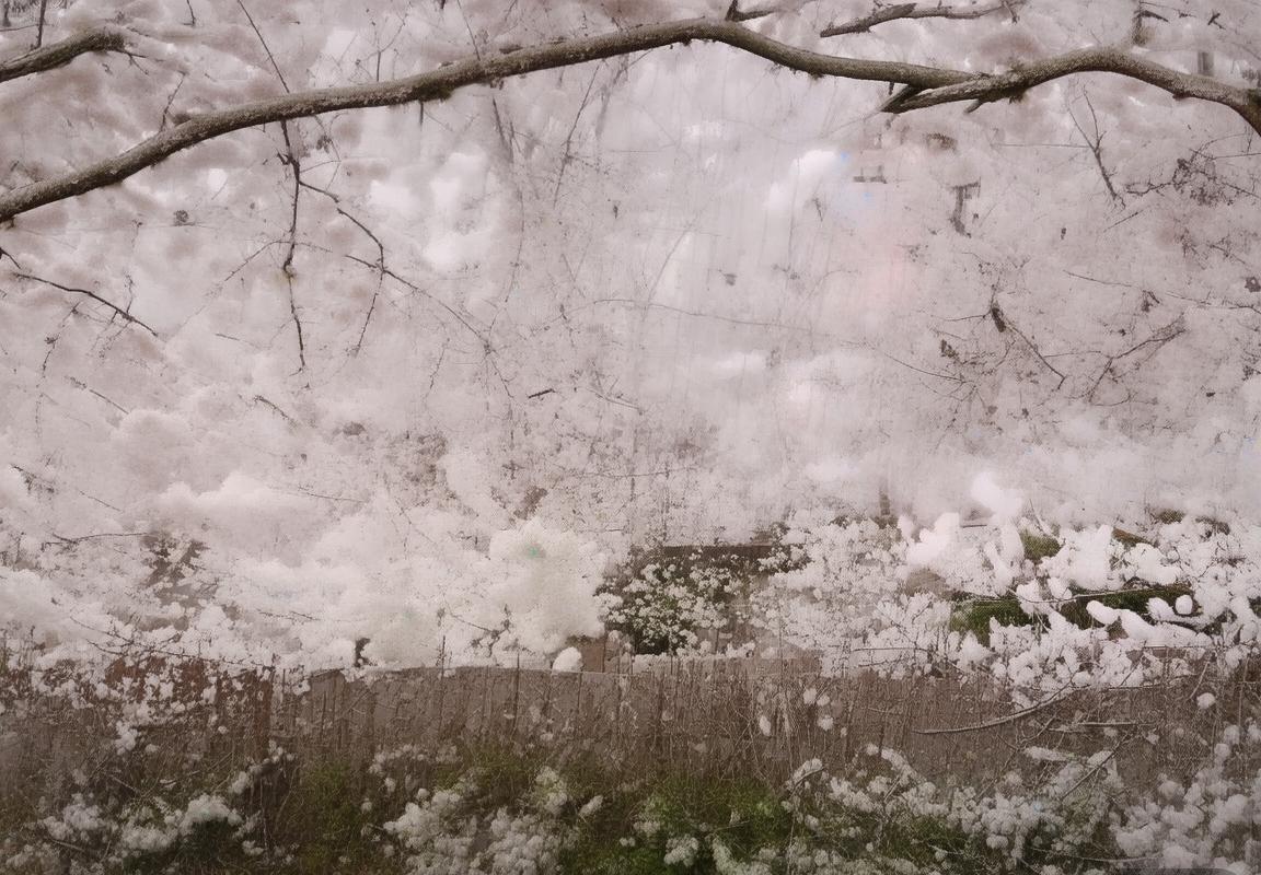 喀山鲁宾VS莫斯巴达：俄超焦点战前瞻分析